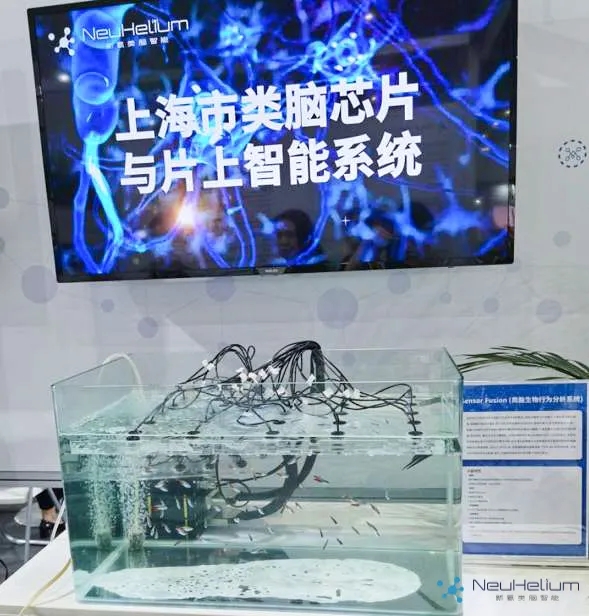 640 (3).webp (1).jpg