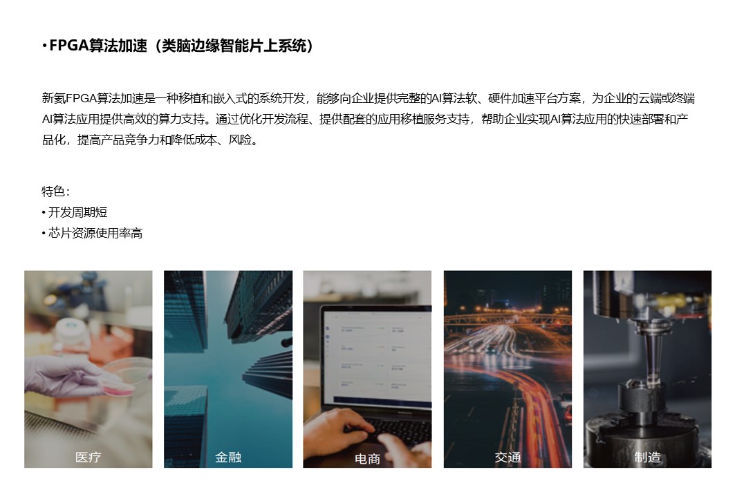 （2）FPGA算法加速（类脑边缘智能片上系统）.JPG